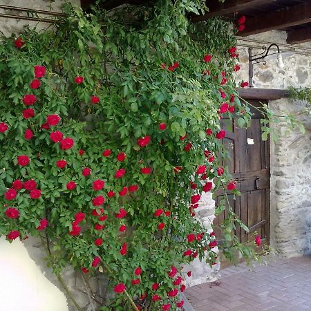 Residenza Antica Corte Villa Picta Buglio in Monte Zewnętrze zdjęcie