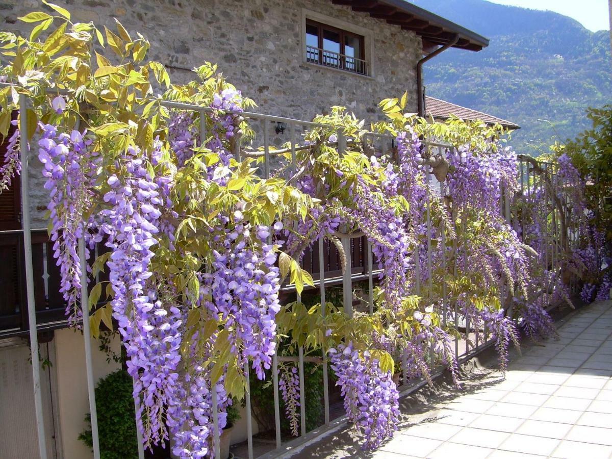 Residenza Antica Corte Villa Picta Buglio in Monte Zewnętrze zdjęcie